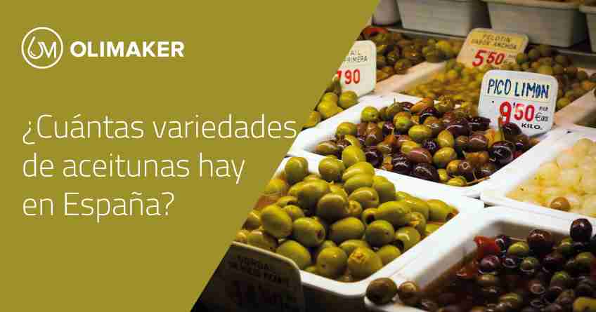 Blog Olimaker. Cuantas variedades de aceitunas hay en espana