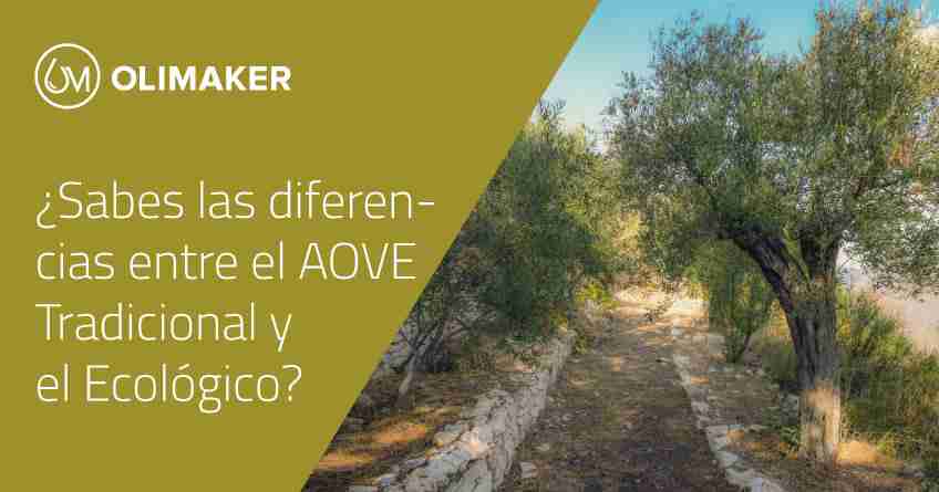 ¿Descubre las diferencias entre el AOVE tradicional y el ecológico?