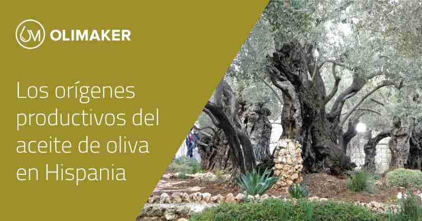 ¿Cuáles son los orígenes de la producción de aceite de oliva en Hispania?