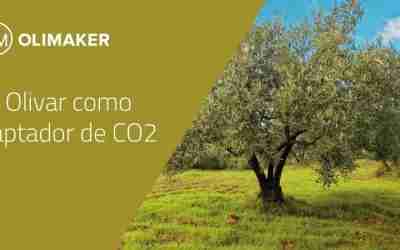 El olivar como captador de CO2