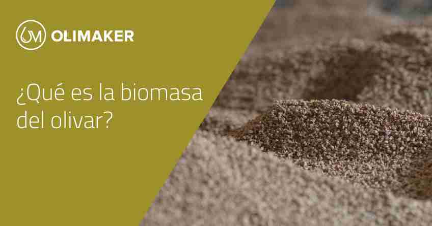 ¿Qué es la biomasa del olivar?