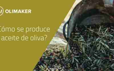 ¿Cómo se produce aceite de oliva?