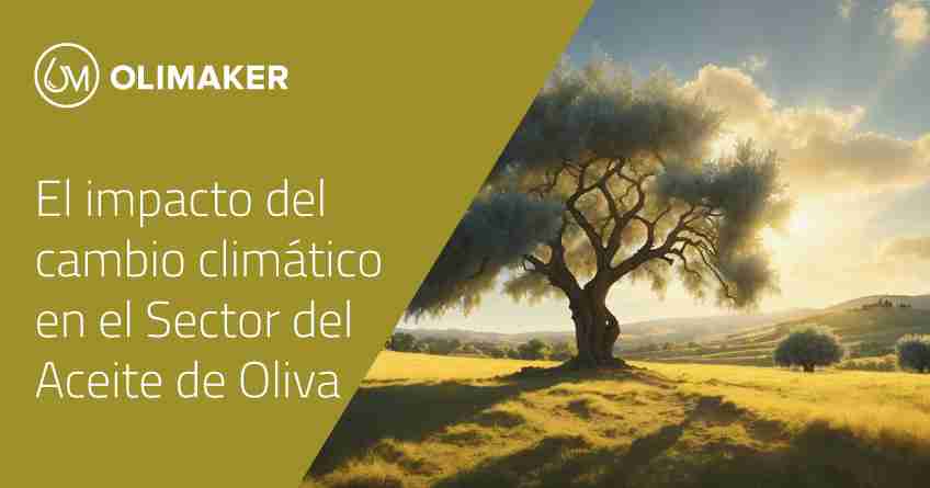 Impacto del cambio climático en el aceite de oliva
